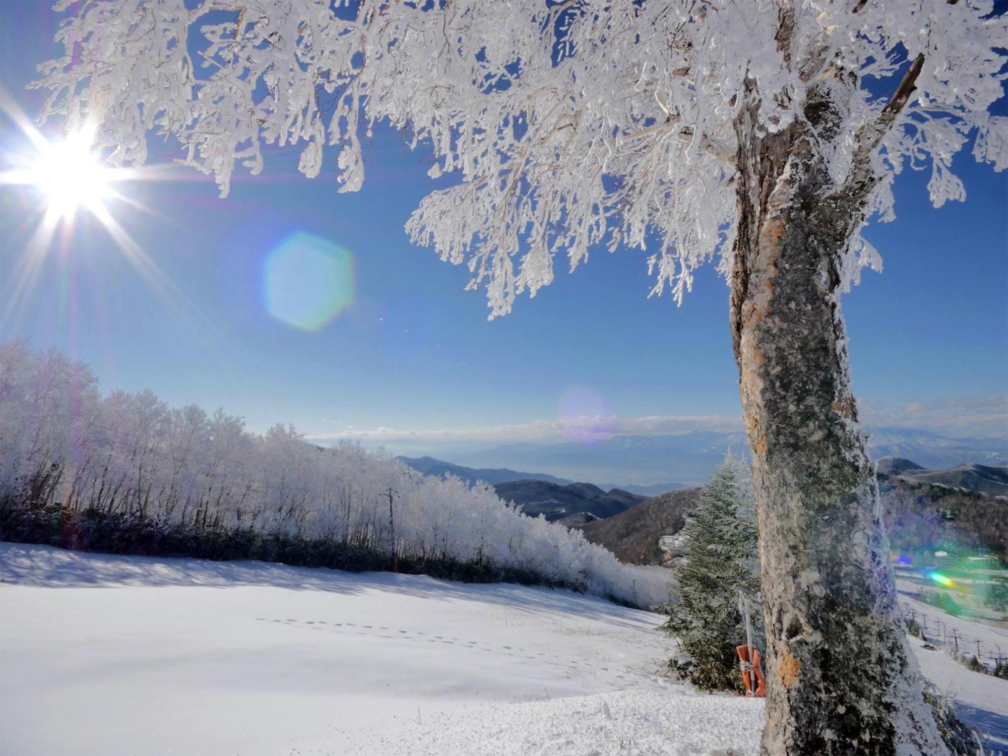 Hotel Ichinose ยามาโนะอุจิ ภายนอก รูปภาพ