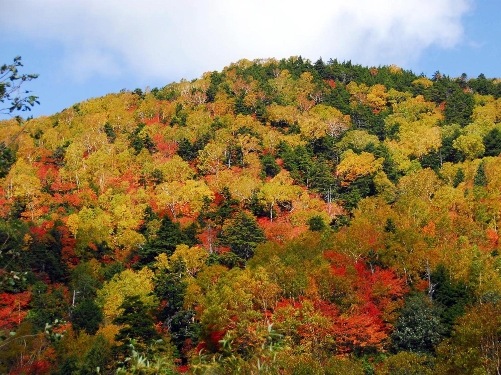 Hotel Ichinose ยามาโนะอุจิ ภายนอก รูปภาพ